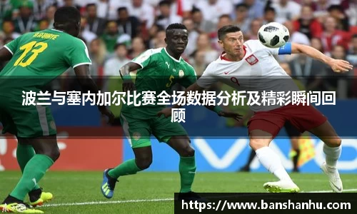 波兰与塞内加尔比赛全场数据分析及精彩瞬间回顾